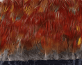 Bild in Galerie-Betrachter laden, Natural Red Golden Pheasant Feather Trim Fringe - hotfans