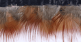 Bild in Galerie-Betrachter laden, Natural Red Golden Pheasant Feather Trim Fringe - hotfans