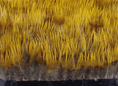 Charger l'image dans la visionneuse de galerie, Natural Yellow Golden Pheasant Feather Trim Fringe - hotfans