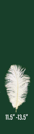 Load image into Gallery viewer, Ostrich drab Feathers Plumes 30cm-35cm - hotfans