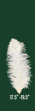 Load image into Gallery viewer, Prime Grade Ostrich feathers Wing Plume 45cm-50cm - hotfans