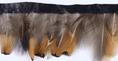 ギャラリービューアーに画像を読み込み、 Pointed Ringneck Pheasant Feather Trim Fringe - hotfans