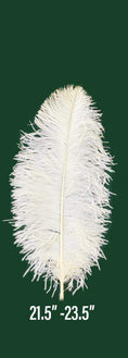 Load image into Gallery viewer, Prime Grade Ostrich feathers Wing Plume 55cm-60cm - hotfans