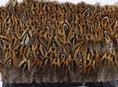 Charger l'image dans la visionneuse de galerie, Hazelnut Ringneck Pheasant Feather Trim Fringe - hotfans