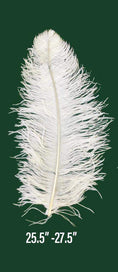 Load image into Gallery viewer, Large Prime Grade Ostrich feathers Wing Plume 65cm-70cm - hotfans