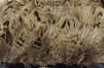 Bild in Galerie-Betrachter laden, Pure Pheasant Yellow Feather Trim Fringe - hotfans