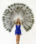 Load image into Gallery viewer, Natural Peacock Feather Fan in Original Colors