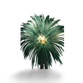 Carica l'immagine nel visualizzatore Galleria, Custom color artistic huge Tall Pheasant Feather fan 38"x 80" - hotfans