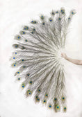 Load image into Gallery viewer, Natural Peacock Feather Fan in Original Colors