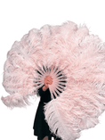 Carica l'immagine nel visualizzatore Galleria, A pair Single layer blush Beginner’s Ostrich Feather Fan - hotfans
