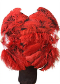 Bild in Galerie-Betrachter laden, Black / Red single layer Double side Ostrich Feather Fan 25"x 47" - hotfans