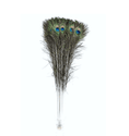 Load image into Gallery viewer, Natural Peacock Tail Feathers - hotfans