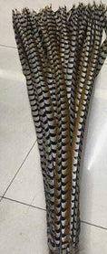 Load image into Gallery viewer, Custom color hugeTall Pheasant Feather Fan Burlesque Perform Friend - hotfans