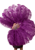 Carica l'immagine nel visualizzatore Galleria, A pair Single layer dark purple Beginner’s Ostrich Feather Fan - hotfans