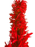 Charger l'image dans la visionneuse de galerie, Big Rooster Feathers Boa Tail Shawl - hotfans