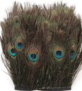 Load image into Gallery viewer, Peacock Eye Trim Fringe - hotfans