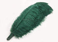 Bild in Galerie-Betrachter laden, Forest green Professional Triple Layers Ostrich Feather Fan 34"x 65" - hotfans