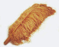 Charger l'image dans la visionneuse de galerie, Topaz Professional Triple Layers Ostrich Feather Fan 34"x 65" - hotfans