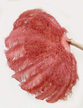Charger l'image dans la visionneuse de galerie, Coral red Advanced XL 2 Layers Ostrich Feather Fan 34"x 60" - hotfans