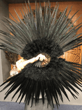 Bild in Galerie-Betrachter laden, Black Marabou & Pheasant Feather Fan 29"x 53" with Travel leather Bag - hotfans