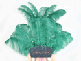 ギャラリービューアーに画像を読み込み、 Forest Green Ostrich Feather Open Face Headdress & backpiece Set - hotfans