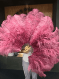 Bild in Galerie-Betrachter laden, Fuchsia intermediate 2 layers Ostrich Feather Fan 30"x 54" - hotfans