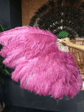 Bild in Galerie-Betrachter laden, Fuchsia intermediate 2 layers Ostrich Feather Fan 30"x 54" - hotfans