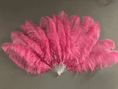 Bild in Galerie-Betrachter laden, Fuchsia intermediate 2 layers Ostrich Feather Fan 30"x 54" - hotfans