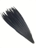Carica l'immagine nel visualizzatore Galleria, Black Luxury Tall huge Pheasant Feather Fan 37"x 69" - hotfans