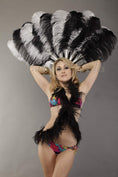 Bild in Galerie-Betrachter laden, Single layer Mix black & white Beginner’s Ostrich Feather Fan 25"x 45" - hotfans