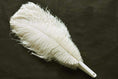 Load image into Gallery viewer, Beige intermediate 2 layers Ostrich Feather Fan 30"x 54" - hotfans