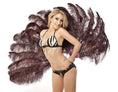 Load image into Gallery viewer, Coffee intermediate 2 layers Ostrich Feather Fan 30"x 54" - hotfans