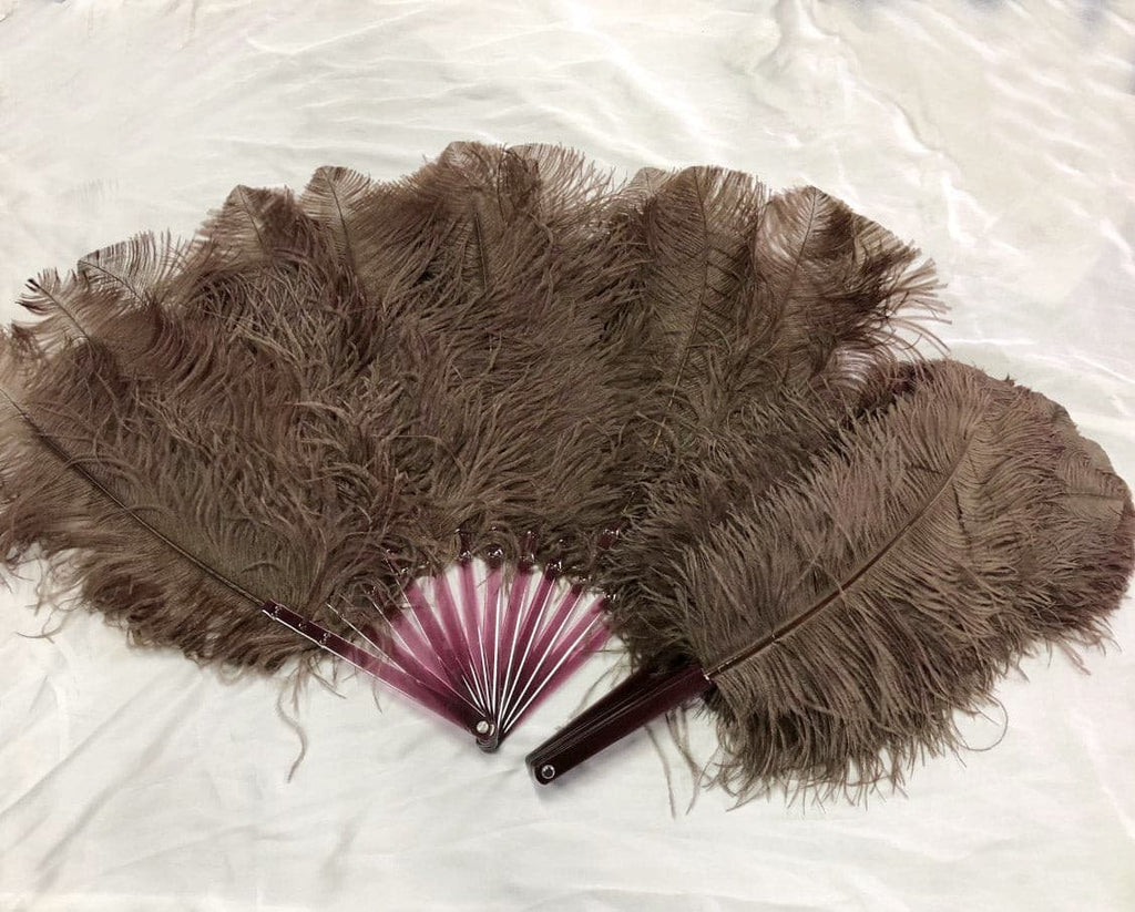 hotfans Burlesque Ostrich Feather Fan,Petite Single Layer feathers,Make A Style Statement for A Pair