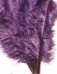 Bild in Galerie-Betrachter laden, Dark plurple Professional Triple Layers Ostrich Feather Fan 34"x 65" - hotfans