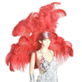 Load image into Gallery viewer, Red Ostrich Feather Open Face Headdress & backpiece Set - hotfans