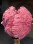 Load image into Gallery viewer, A pair Single layer fuchsia Beginner’s Ostrich Feather Fan - hotfans