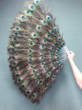 ギャラリービューアーに画像を読み込み、 Double faced peacock feather fan - hotfans