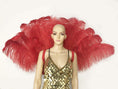 Charger l'image dans la visionneuse de galerie, Red Open Majestic Style Ostrich Feather backpiece - hotfans