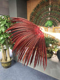 Carica l'immagine nel visualizzatore Galleria, Red Luxury Tall huge Pheasant Feather Fan 37"x69" - hotfans