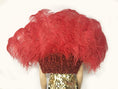 Charger l'image dans la visionneuse de galerie, Red Open Majestic Style Ostrich Feather backpiece - hotfans