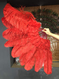 Charger l'image dans la visionneuse de galerie, Beginner Red Marabou & Ostrich Feather fan 24"x 43" - hotfans