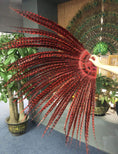 Carica l'immagine nel visualizzatore Galleria, Red Luxury Tall huge Pheasant Feather Fan 37"x69" - hotfans