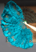Charger l'image dans la visionneuse de galerie, Teal Double side ostrich Feather Fan with Peacock Feathers opened 180 degree 25"x 52" - hotfans
