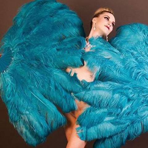 How to Select Your First Feather Fans! - hotfans