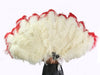 Tip dyed Ostrich feather fan