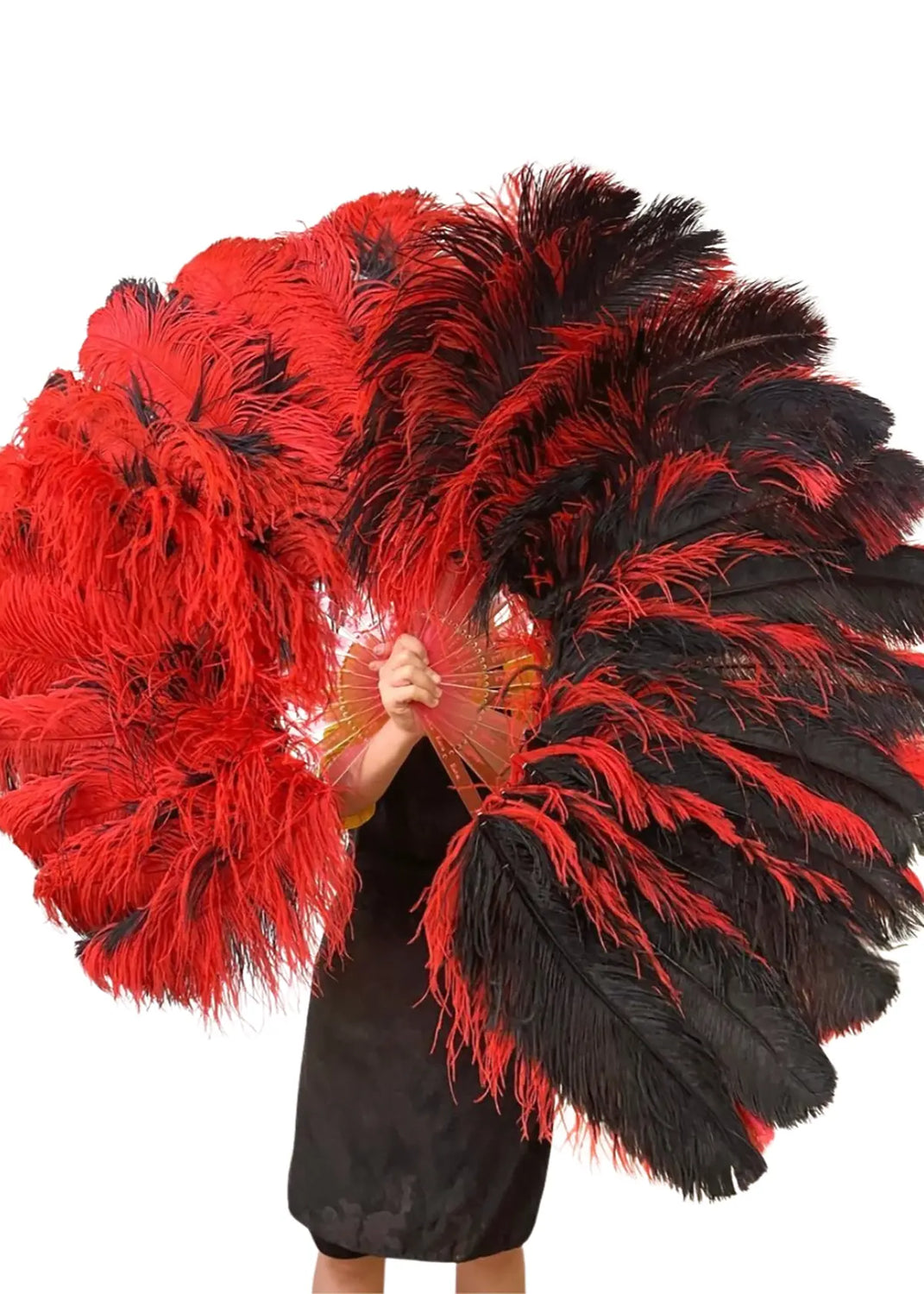 14 doghe 180 gradi 25"X 50"