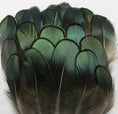 Load image into Gallery viewer, Green Bronze Pheasant Feather Trim Fringe
