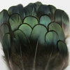 Green Bronze Pheasant Feather Trim Fringe