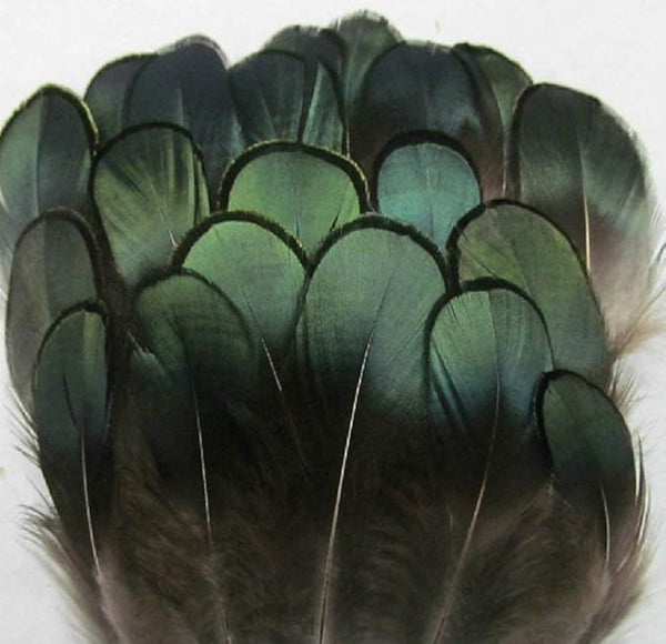 Green Bronze Pheasant Feather Trim Fringe