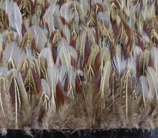 Ring-necked Pheasant Red Feathers Trim Fringe